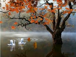 HÀ NỘI - BUSAN - ĐẢO CHEJU - SEOUL - HÀ NỘI    06 NGÀY 05 ĐÊM