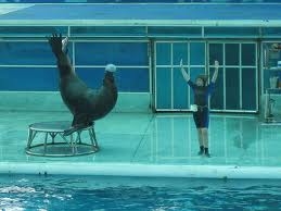 DU LỊCH BẮC GIANG - HẠ LONG - TUẦN CHÂU - BẮC GIANG  02 NGÀY 01 ĐÊM 